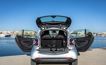 smart EQ fortwo Coupe interieur in Cool Silver