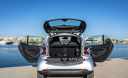 smart EQ fortwo Coupe interieur in Cool Silver